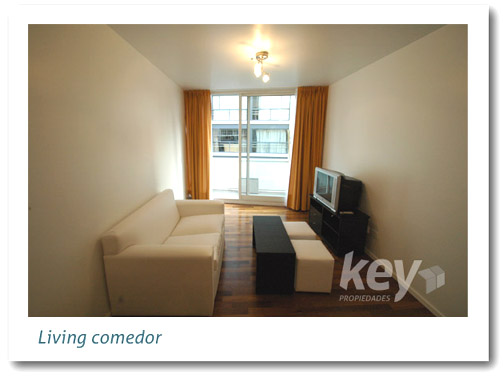 living departamento 2 dos ambientes